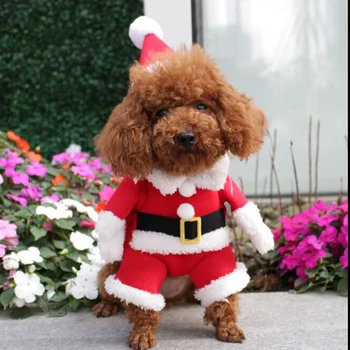 Noel Pet Köpek Kedi Kostümleri Komik Noel Baba Kostüm Köpekler Kediler Için Kış Sıcak Köpek Giysileri Chihuahua Pug Yorkshire Giyim